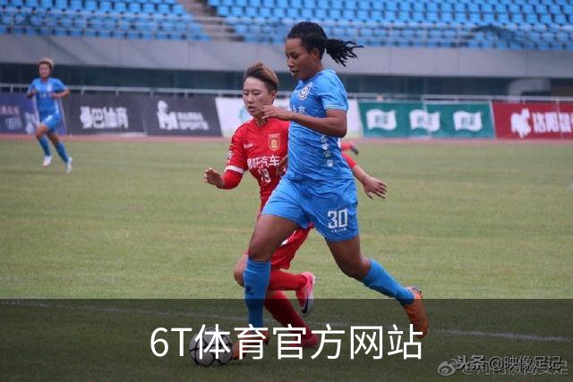 6T体育官方网站公司简介